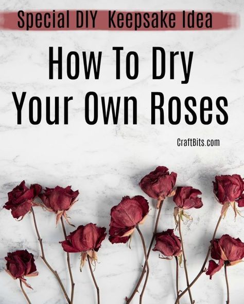 How To Dry Your Own Roses — CraftBits.com How To Dry Roses In Oven, Drying Roses Upside Down, How To Dry Out Roses, Best Way To Dry Roses, How To Persevere Roses, How To Dry Roses Diy, Old Roses Diy What To Do With, How To Preserve A Rose, What To Do With Dried Roses