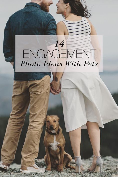 Engagement Photos Pets, Ideas For Engagement Photos, Ideas For Engagement, Save The Date Pictures, Funny Save The Dates, Cute Engagement Photos, Photos With Dog, Engagement Photo Ideas, Engagement Rings Affordable