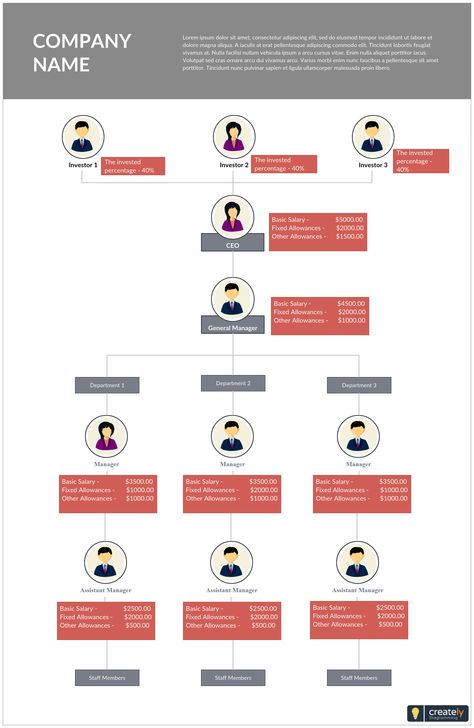 Company Organization Chart, Business Organizational Structure, Organisation Board, Organisation Chart, Organizational Chart Design, Infographic Social Media, Company Structure, Chart Infographic, Organization Chart