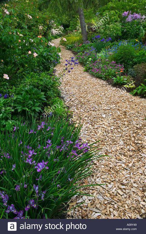 Download this stock image: Wood chip path at Northwest Garden Nursery Eugene Oregon - A09Y49 from Alamy's library of millions of high resolution stock photos, illustrations and vectors. Bark Pathway Garden Paths, Wood Chip Garden Path, Wood Chip Walkway, Cedar Wood Chips Landscaping, Woodchips Garden Landscaping, Wood Chip Pathway, Wood Chip Patio, Mulch Garden Path, Woodchip Pathways