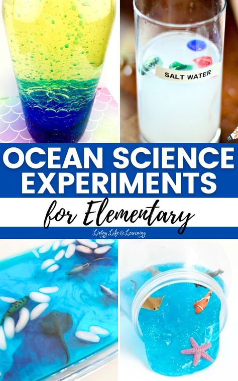 These Ocean Science Experiments for Elementary make homeschool learning about our oceanic friends an unforgettable adventure! Science Experiments For Elementary, Ocean Science Experiments, Elementary Science Experiments, Biology For Kids, Kids Stem Activities, Chemistry For Kids, Homeschool Science Curriculum, Unit Studies Homeschool, Learning Cursive