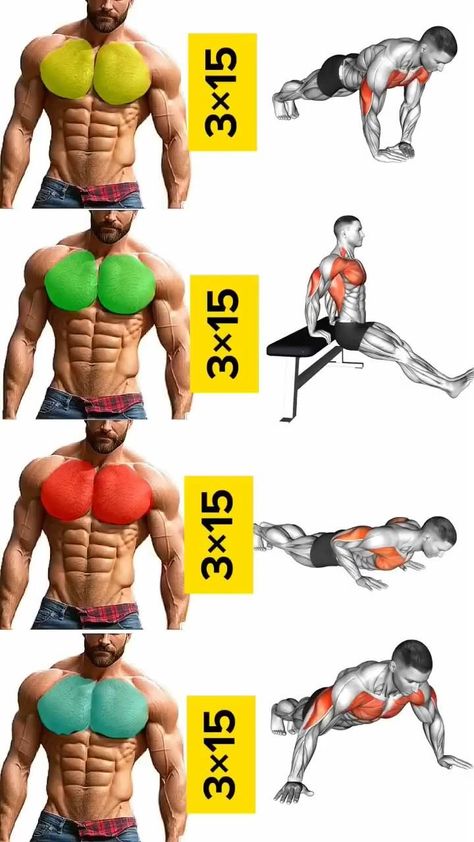 Gym Workout Apps, Chest Workout For Men, Chest Workout Routine, Gym Workout Guide, Latihan Dada, Workout Program Gym, Trening Sztuk Walki, Best Gym Workout, Gym Workout Planner