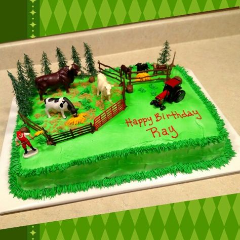 Farm Birthday Cakes, Barnyard Cake, Barn Cake, Horse Birthday Cake, Farm Animal Cakes, Farm Theme Birthday, Farm Themed Birthday Party, Farm Cake, Horse Cake