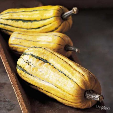 Delicate Squash, How To Cook Squash, Delicata Squash Recipe, Roasted Delicata Squash, Summer Zucchini, Autoimmune Paleo Recipes, Eating Bird Food, Optavia Recipes, Csa Recipes