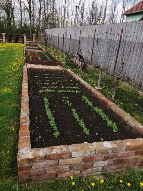 Brick Garden Planters, Brick Garden Bed Ideas, Car Garden, Paver Garden Bed, Brick Raised Beds, Vegetable Garden Planner, Brick Garden, Diy Raised Garden, Potager Garden