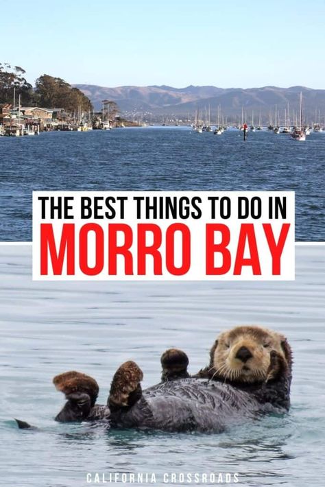 19 Marvelous Things to Do in Morro Bay, California Morrow Bay California, Morro Bay California Things To Do, Morro Bay California, Usa Travel Map, Birthday Plans, Road Trip Map, 2023 Travel, The Troubles, Nevada Travel