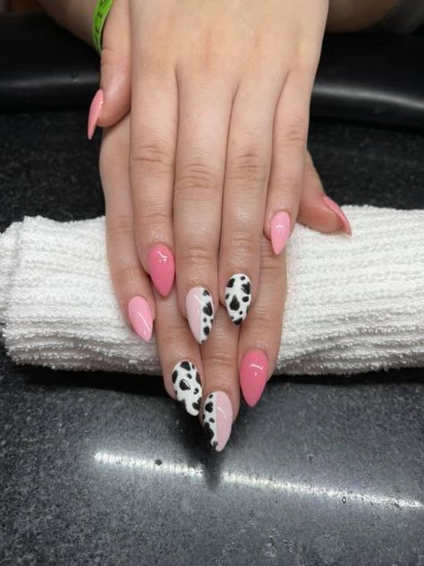 Cow Themed Nail Art, Coral Cow Print Nails, Colourful Cow Print Nails, Brown And Pink Cow Print Nails, Pink Cow French Tip Nails, Country Nails Design Pink, Rodeo Nails Westerns Almond, Maroon Cow Print Nails, Almond Shape Cow Print Nails