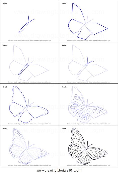 How To Draw A Monarch Butterfly, Draw A Monarch Butterfly, How To Draw Butterfly, Butterfly Art Drawing, Flower Drawing Tutorials, Drawing Sheet, Butterfly Printable, Butterfly Drawing, Easy Doodles Drawings