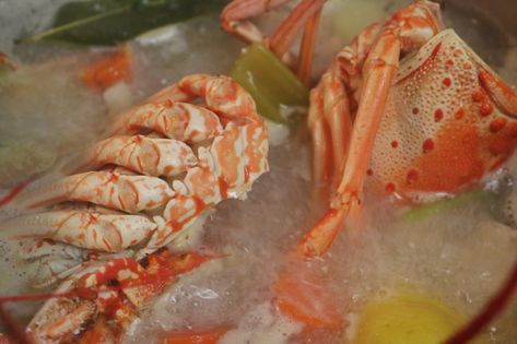 Lobster Stock From Shells, Leftover Lobster, Lobster Stock, Spiny Lobster, Stock Recipes, The Lobster, Easy Soups, Cheese Cloth, Yummy Yummy