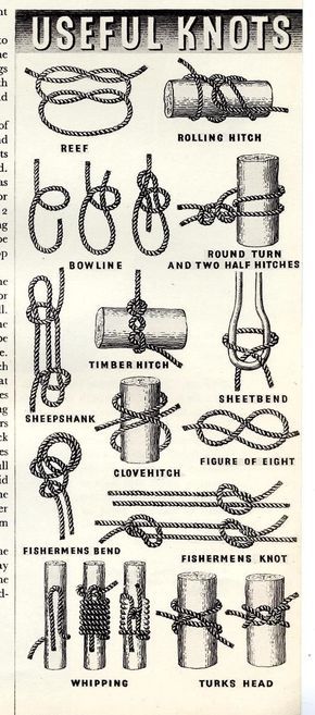 Information Graphics, Simple tasks, Knots Scout Knots, Supraviețuire Camping, Camping Knots, Survival Knots, Knots Guide, Paracord Knots, Knots Diy, Survival Life Hacks, Rope Knots