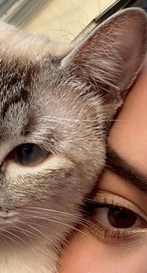 Sun Saathiya, Aesthetic Status, Song Status, Cat Aesthetic, Cat Eye