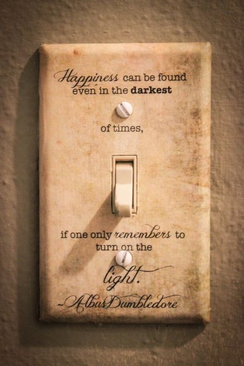 Albus Dumbledore, Light Switch Plate, Switch Plate, Light Switch, Buzzfeed, The Darkest, Harry Potter