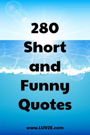 Are you looking for the best short and funny quotes? Look no further! Here is our huge list of quotes that can make you laugh. Funny Encouragement Quotes, Funny Encouragement, Silly Quotes, Mom Cut, Funny Motivational Quotes, Short Funny Quotes, Quotes Books, Shirt Quotes, Funny Positive Quotes