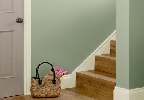 Green Hallway Ideas Entrance Halls, Sage Green Hallway, Hall Stairs And Landing Decor, Stairs And Landing Decor, Hallway And Stairs Ideas, Hall And Stairs, Landing Decor, Hallway Ideas Diy, Green Hallway Ideas