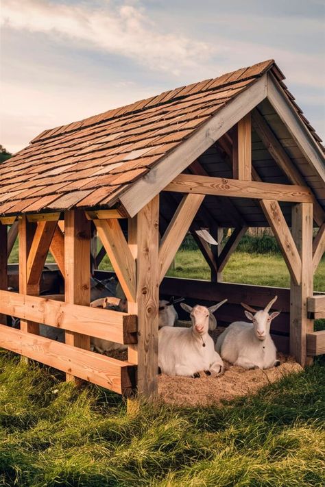 Best 15 DIY Goat Shelter [Within Budget] – craftydiyers.com Goats Farm Ideas, Outdoor Goat Shelter, Goat Homes Ideas, Sheep Shelter Ideas, Small Livestock Barn, Goat Barn Ideas, Goat House Ideas, Diy Goat Shelter, Goat Houses