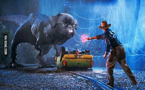 Photoshops pugs into Jurassic Park - 9GAG Jurassic Park 1993, Funny Photoshop, Fiction Movies, Most Popular Movies, Pugs Funny, Jurassic Park World, Robin Williams, 20th Century Fox, Tom Hanks