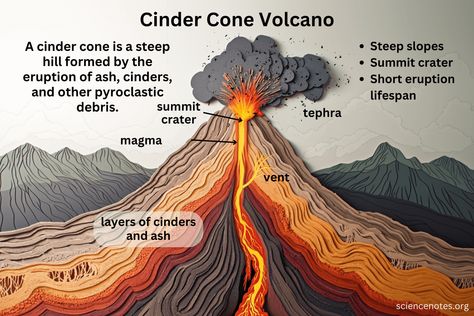 Volcano Diagram, Cinder Cone Volcano, Plant Cell Diagram, Volcano Pictures, Cell Diagram, Magma Chamber, Shield Volcano, Science Homework, Biology Worksheet