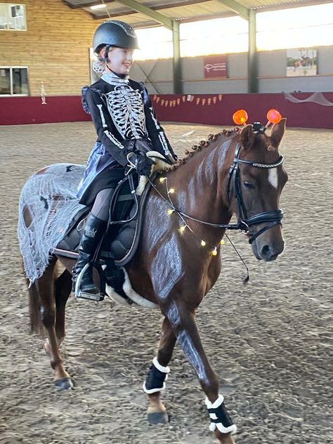 Halloween Costume For Horse, Equestrian Halloween Costumes, Halloween Horse Costumes, Pony Halloween Costume, Horse Halloween Costumes, Halloween Horse, Horse Costumes, Horse Dress, Witch Halloween Costume