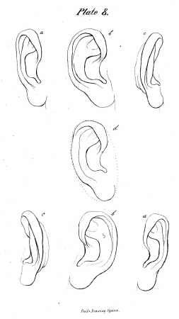 how to draw ears! ears are so hard, this is so helpful :) Ear Shapes, Learning Asl, How To Draw Ears, 얼굴 그리기, Hearing Loss, 인물 드로잉, Anatomy Drawing, Serious Relationship, Art Instructions