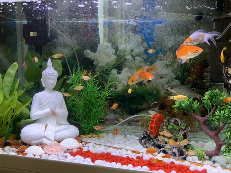 Asian Inspired Fish Tank, Buddha Aquarium, Fish Aquarium Decorations, Fish Tank Themes, Aquarium Garden, Meditation Buddha, Fish Tank Design, Aquarium Landscape, Betta Tank