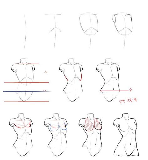 Drawing Anime Bodies, Human Body Drawing, Drawing Female Body, Anatomy Tutorial, Couple Drawing, Female Torso, Drawing Eyes, Body Sketches, Body Drawing Tutorial