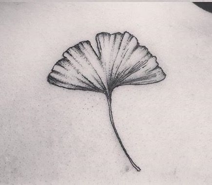 Gingko Leaf Tattoo Meaning, Ginkgo Leaves Tattoo, Ginko Leaf Tattoo, Ginkgo Tattoo, Gingko Leaves Tattoo, Ginko Leaf Tattoos, Ginkgo Leaf Tattoo, Woodcut Tattoo, Gingko Leaves