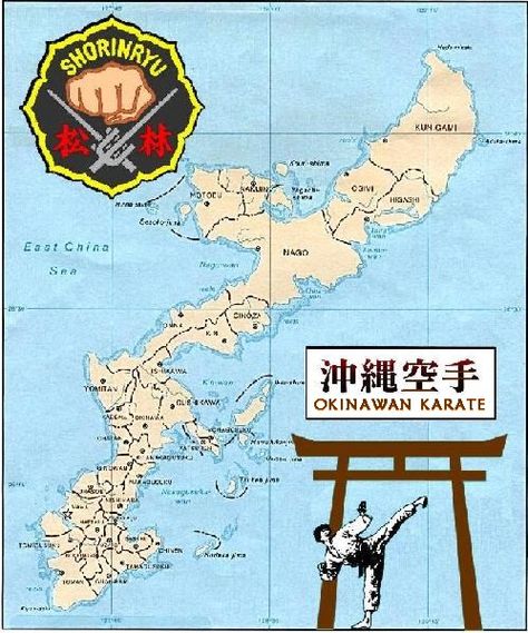 Shorin Ryu Shorin Ryu Karate, Kempo Karate, Okinawan Karate, Goju Ryu, Karate Martial Arts, Art Rules, Martial Arts Styles, Combat Art, Western World