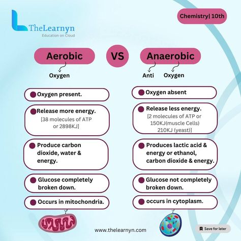 Aerobic vs Anaerobic 🏃‍♂️💨 Understanding the key differences in a fun way! 🧠 Let's dive in! #FitnessFacts #HighSchoolFitness Today, let's break down the epic battle of Aerobic vs Anaerobic exercises! 🏋️‍♀️ Aerobic activities like jogging or dancing involve oxygen for energy production, while Anaerobic exercises like sprinting or weightlifting rely on stored energy in muscles. 💪 Know the difference, choose your workout wisely, and get ready to ace your fitness game! #StayFit #ExerciseSc... Aerobic Vs Anaerobic Exercise, Anaerobic Exercises, Anaerobic Respiration, Anaerobic Exercise, Fitness Facts, Nursing School Notes, Epic Battle, Workout Games, School Notes