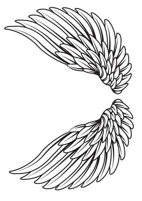 Beautiful Wings Tattoo, Wing Tattoo Stencil, Tattoo Templates Stencil, Angel Wings Tattoo Stencil, Angel Wing Outline, Tattoo Angel Wings, Drawing Wings, Winged Stencil, Tatoo Dog