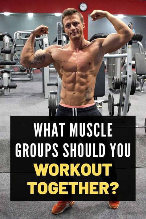 What Exercises Target What Muscles, Upper Body Muscle Groups, Which Muscle Groups To Workout Together, Opposing Muscle Groups Workout, Muscles To Workout Together, Weight Lifting Schedule For Fat Loss, What Muscle Groups To Work Together, Muscle Group Workout Schedule For Women, Workout Muscle Groups