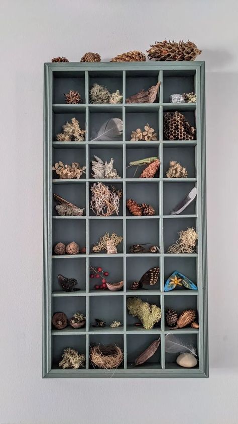 Rock Collection Display, Dress Up Area, Souvenir Display, Brass Objects, Figurine Display, Printers Tray, Right Or Wrong, Colored Glassware, Elephant Figurines