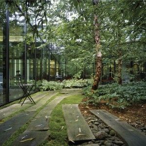 Tahari Courtyards by Michael Van Valkenburgh Associates « Landscape Architecture Works | Landezine Public Space Landscape, Landscape Paving, Landscaping Grasses, Interior Courtyard, River Birch, Residential Landscaping, Urban Gardens, Courtyard Design, Courtyard Gardens