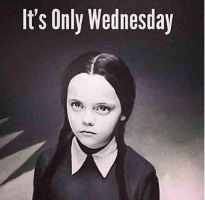 Wednesday Addams Meme Wednesday Addams Meme, Funny Wednesday Memes, Addams Family Quotes, Funny Wednesday, Wednesday Memes, Wednesday Humor, Wednesday Quotes, Weekday Quotes, Work Memes