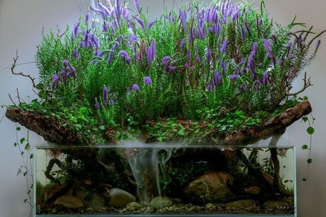 The World of Green on Instagram: "It's pogostemon deccanensis 🌸 #pondstyletank #paludarium #aquascaping -Werbung/Ad- have you already seen the video of this tank? just follow the link in my bio to my youtube channel. #plantart #plantdecor #terrascaping #flowers #flowerlovers #flowerbouquet #dooaneoglassterra #dooa #theworldofgreen #plantstagram #plantsplantsplants #plantlover" Riparium Aquascape, Cool Fish Tank Decorations, Biotope Aquarium, Freshwater Aquarium Plants, Goldfish Tank, Cool Fish Tanks, Aquascape Design, Indoor Water Garden, Mini Aquarium