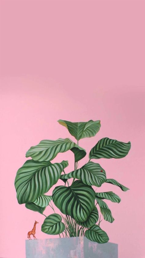 Iphone Wallpaper Plants, Minimal Painting, Floral Wallpaper Iphone, Psychadelic Art, Flowery Wallpaper, Plant Wallpaper, Picture Collage Wall, Flower Background Wallpaper, Art Wallpaper Iphone