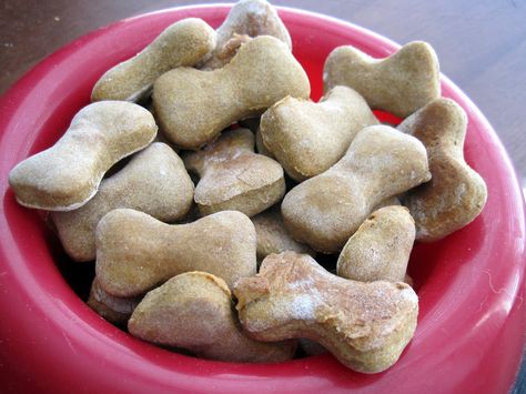 Butternut Squash Dog Treats, Squash Dog Treats, Squash Biscuits, Coconut Curry Pumpkin Soup, Curry Pumpkin Soup, Curry Pumpkin, Dogs Treats, Dog Food Recipe, Pet Treats Recipes