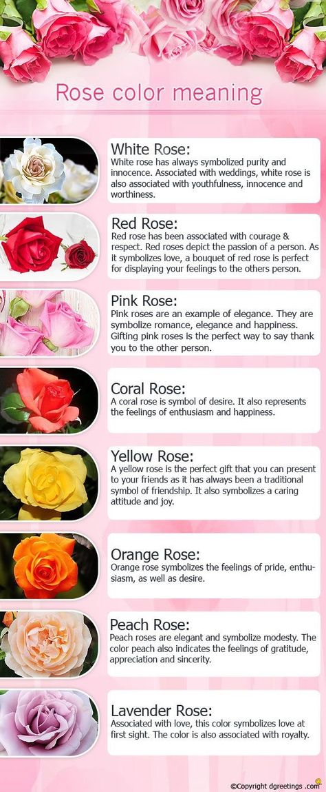 Rose Incense Meaning, Pink Rose Meaning, Red Rose Meaning, Meaning Of Roses, Yellow Rose Meaning, Roses Meaning, Huge Bouquet, Rose Color Meanings, Flower Symbolism