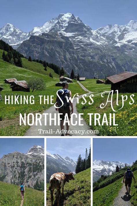 This hike follows along a ridge through tiny villages and across streams with a surreal mountain backdrop.  Check out my photo guide!  This is a MUST DO hike in the Swiss Alps.  #switzerland #hiking #travel #mountains #lauterbrunnen #northface #outdoors #cows #interlaken Swiss Alps Switzerland, Switzerland Hiking, Alps Switzerland, Travel Mountains, Playground Areas, Mountain Backdrop, Beautiful Hikes, Hiking Guide, Hiking Destinations