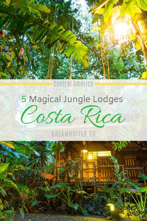 Costa Rica is a beautiful place to stay and one of the top-visited tourist destinations in Central America. The beautiful coastlines and the impressive rainforest make this place such a dreamy place. We show you some of the most beautiful and most luxury jungle lodges in Costa Rica.  #costarica #puravida #travel #lodge #jungle #centralamerica #luxury Magic Jungle, Costa Rica Wildlife, Costa Rica Hotel, Costa Rica Resorts, Summer Travel Destinations, Mountain Hotel, Forest Lodge, Magical Jungle, Spring Break Destinations