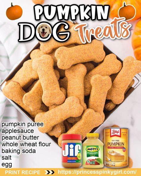 Homemade Pumpkin Dog Treats, Foods Dogs Can Eat, Pet Treats Recipes, Dog Treats Homemade Easy, Easy Dog Treat Recipes, Frozen Dog Treats, Princess Pinky Girl, Pinky Girl, Dog Biscuit Recipes