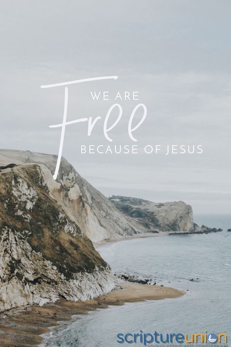 John 8 36, Thrive Le Vel, Free Indeed, I Am Free, Thrive Life, Bible Notes, Inspirational Scripture, Daughters Of The King, Christian Blogs