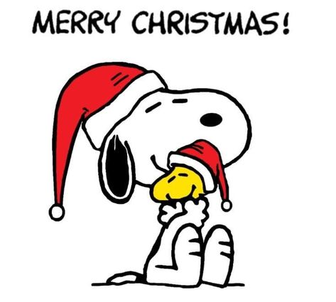 Peanuts Cartoon Christmas, Christmas Characters Drawings, Peanuts Merry Christmas, Merry Christmas Logo, Snoopy Embroidery, Snoopy Drawing, Christmas Widgets, A Charlie Brown Christmas, Snoopy Images