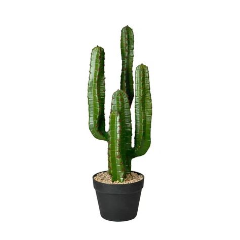 Williston Forge 45" Artificial Green Finger Cactus in 8" Black Pot | Wayfair Candelabra Cactus, Potted Cactus, Faux Cactus, Cactus Plant Pots, Planters Garden, Artificial Plants And Trees, Simple Signs, Floor Plants, Cactus Plant