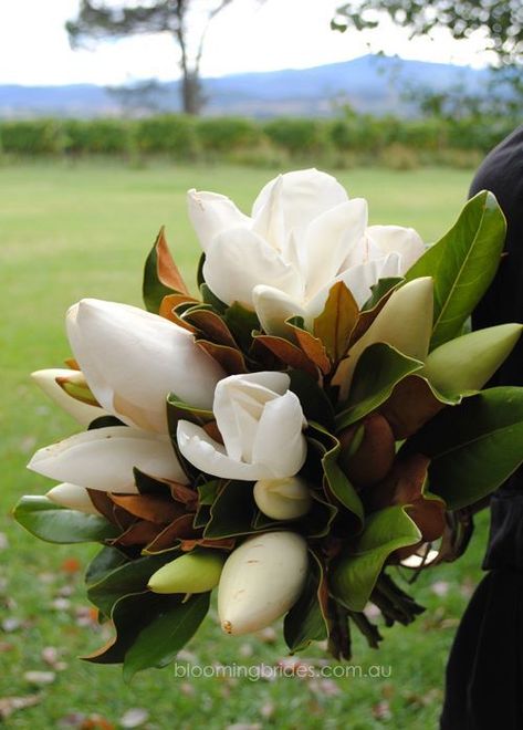 Magnolia Boutineer, Interesting Bouquets, Magnolia Bouquet Wedding, Magnolia Bridal Bouquet, Magnolia Wedding Bouquet, Magnolia Flower Bouquet, Sultry Wedding, Magnolias Wedding Bouquet, Magnolia Wedding Flowers