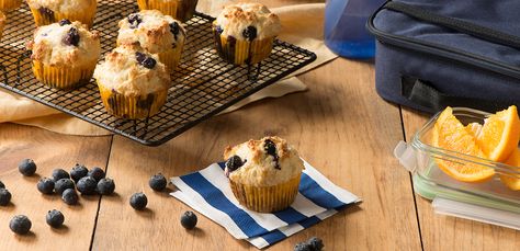 Cottage cheese makes these classic muffins super moist and tender. Blueberry Cottage Cheese, Cottage Cheese Muffins, Cottage Cheese Breakfast, Lemon And Blueberry, Cottage Cheese Recipes, Muffin Bread, Cheese Muffins, Egg Muffins, Blueberry Muffins