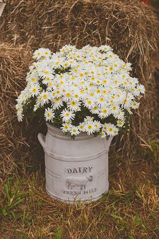 Daisy Wedding Decorations, Dairy Farm Wedding, Deco Champetre, Daisy Wedding, Farm Photography, Dairy Farm, Hay Bales, Wedding Flowers Summer, Dairy Farms