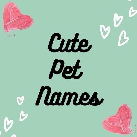 A list of endearing nicknames for your boyfriend or girlfriend that you can use as their contact name in your phone or in person. Pet names are a great way to become more intimate or to show your love in a romantic way. What To Call Your Boyfriend, Nicknames For Couples, Pet Names For Girlfriend, Endearment Names, Endearing Nicknames, Nicknames For Girlfriends, Girlfriend Relationships, Pet Names For Boyfriend