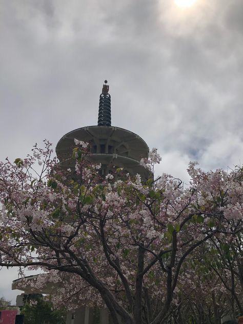 Cherry Blossom Festival - Japantown, San Francisco ~ April 14, 2019 Japantown San Francisco, San Francisco Pictures, Cherry Blossom Festival, Living In San Francisco, Japanese American, San Fran, San Luis Obispo, City Life, Empire State Building