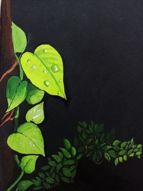 Painting On Black Paper, Water Drop On Leaf, Leaf Painting, Pitcher Plant, Leaf Drawing, Painted Leaves, Black And White Drawing, Book Art Drawings, Black Paper