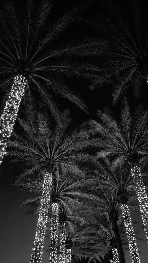 Pretty Wallpaper Ipad, Palm Tattoos, Black And White Photo Wall, Shotting Photo, New Year Wallpaper, The Palms, Black And White Aesthetic, Black And White Pictures, Cute Wallpaper Backgrounds